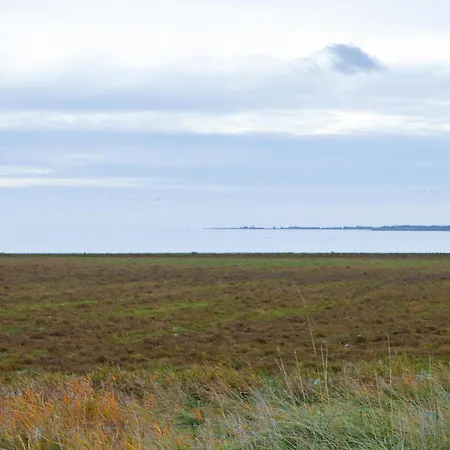 Havnebyvej Iii * Bolilmark